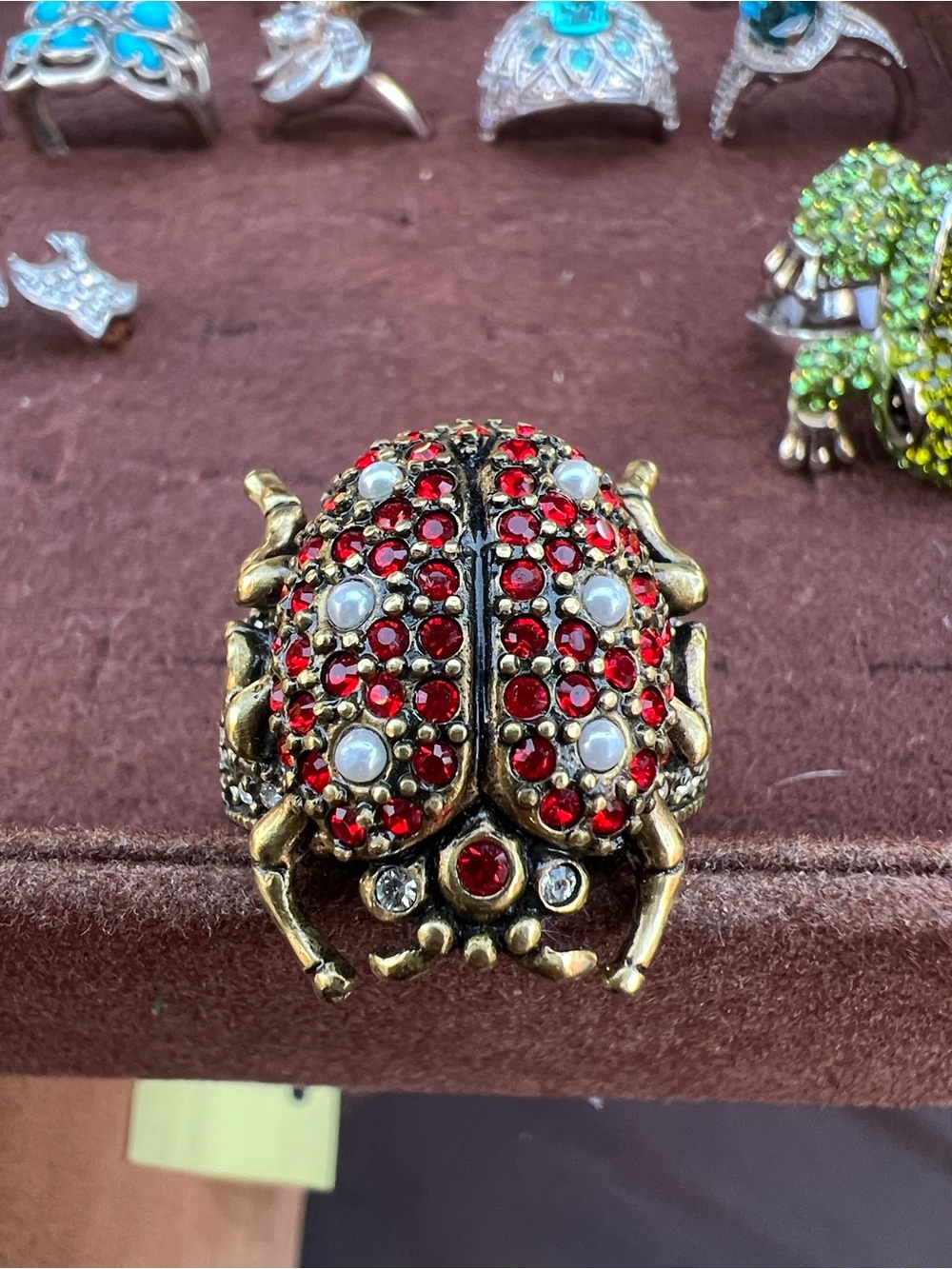 Antique Gold-Tone Red Crystal Beetle Brooch - Women's Jewelry